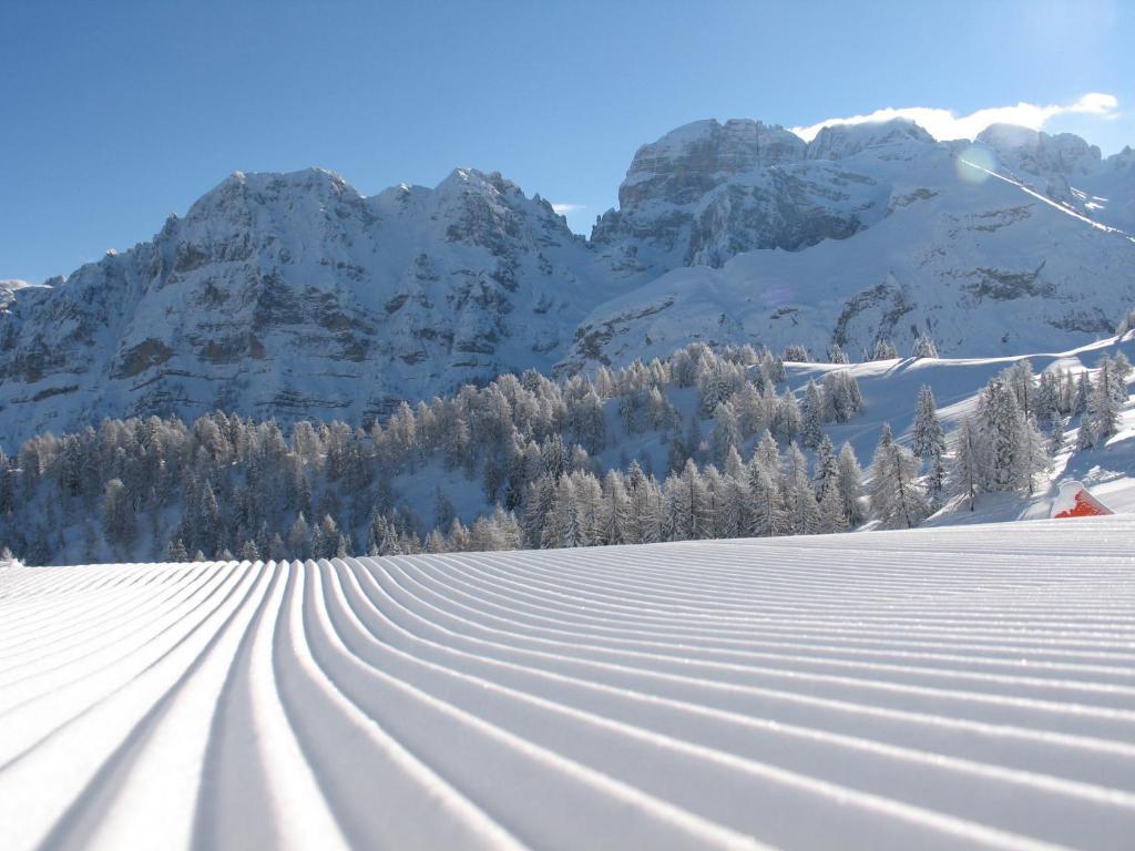 Chalet Fiocco Di Neve Pinzolo Eksteriør bilde